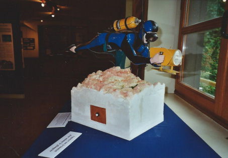 aldo-1
